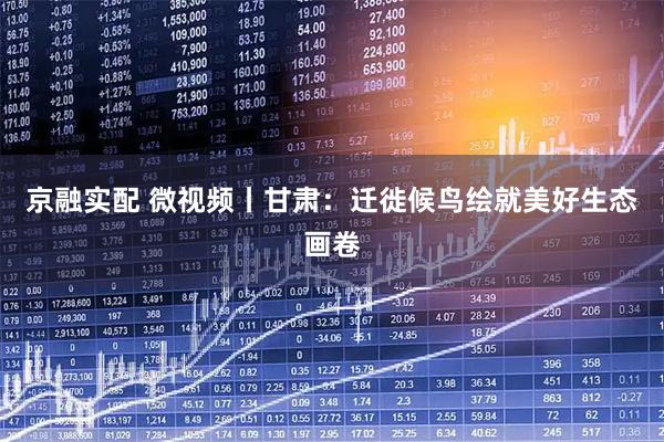 京融实配 微视频丨甘肃：迁徙候鸟绘就美好生态画卷