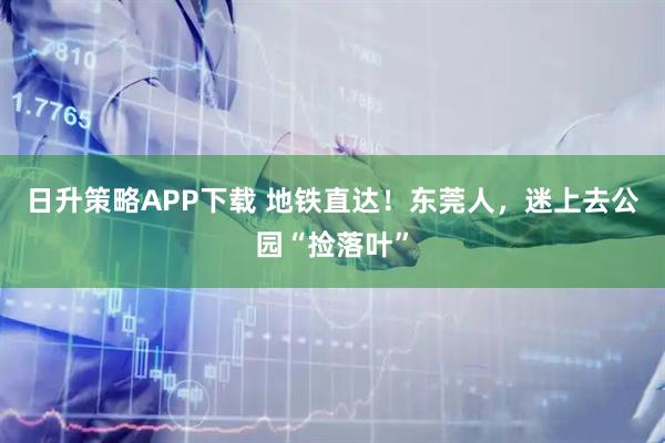 日升策略APP下载 地铁直达！东莞人，迷上去公园“捡落叶”